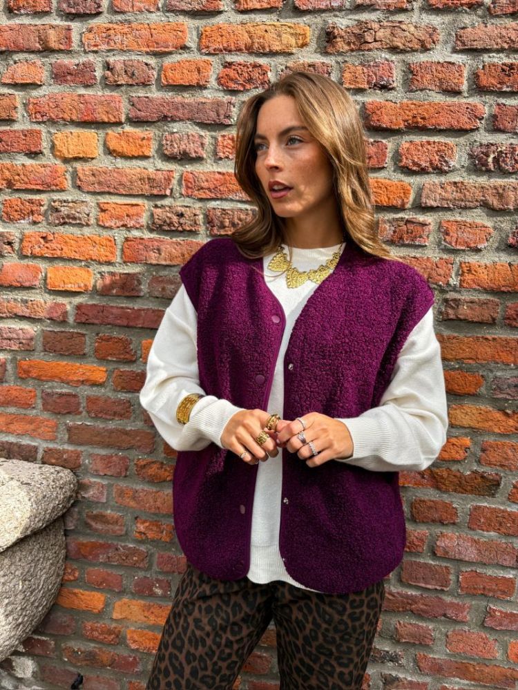 PCKATTY TEDDY VEST NOOS BC 294444 Pickled